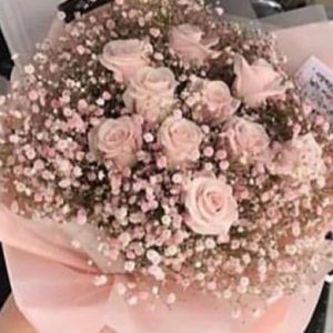 Meet your Posher, Jasmin